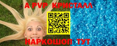 стафф Лесосибирск