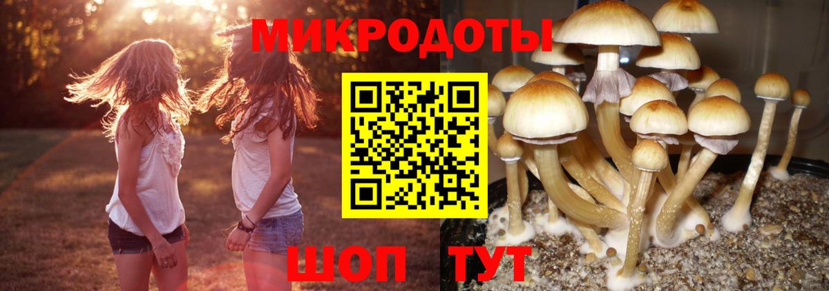 Галлюциногенные грибы мицелий Дубна